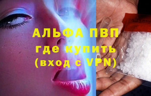 мяу мяу мука Магадан