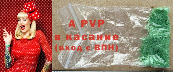 эйфоретик Майский